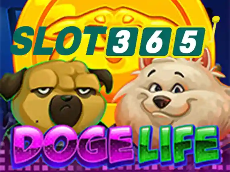 Slot365: Nền tảng casino trực tuyến an toàn và tiện lợi