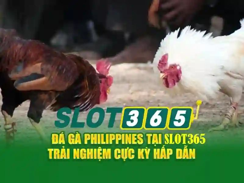 Hướng dẫn đăng ký và nạp tiền