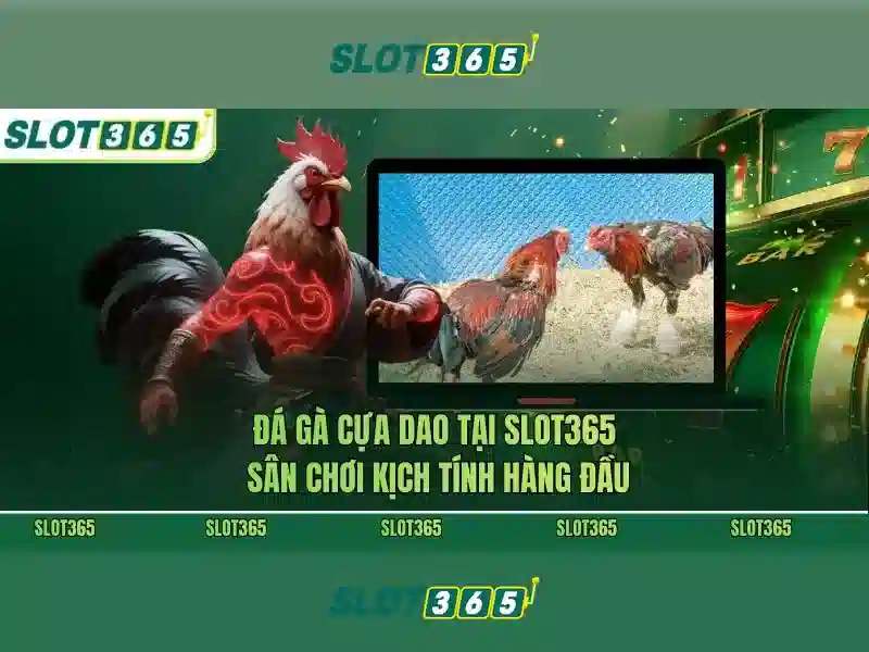 Slot365: Cổng trò chơi xèng trực tuyến uy tín