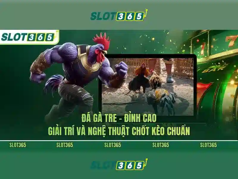 Slot365 - Nền tảng slot trực tuyến an toàn và thú vị
