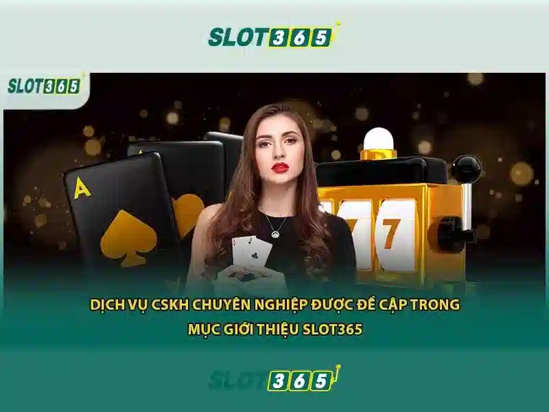 Slot365: Kinh nghiệm và đánh giá cho người chơi Việt