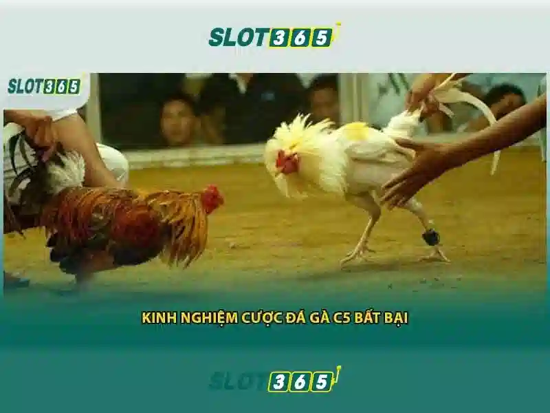 An toàn, công bằng và bảo mật