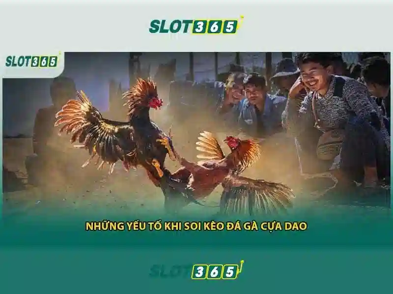 Lợi thế khi chơi Slot365