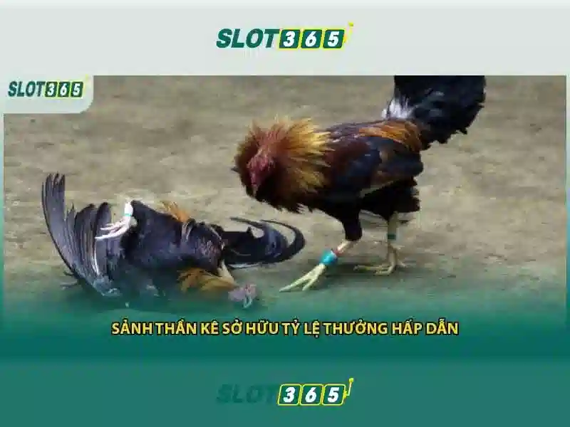 Slot365 là gì