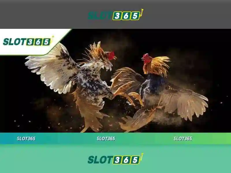 Slot365: Cổng trò chơi xèng trực tuyến đáng tin cậy