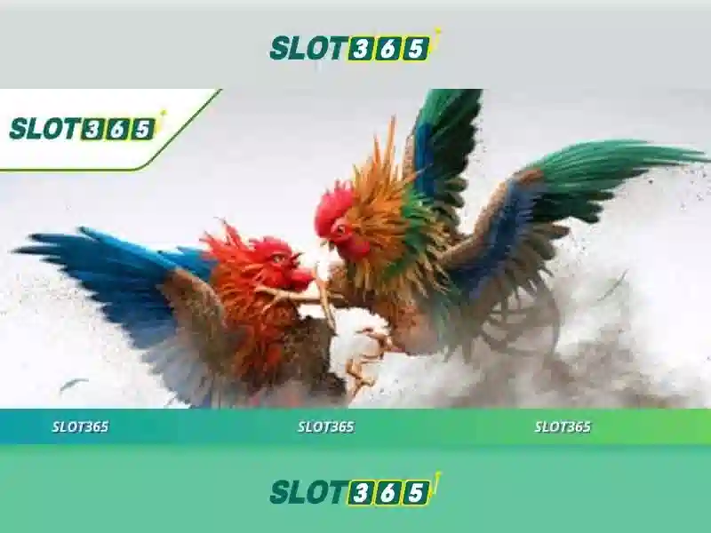 Slot365 là gì và trải nghiệm slot trực tuyến đỉnh cao