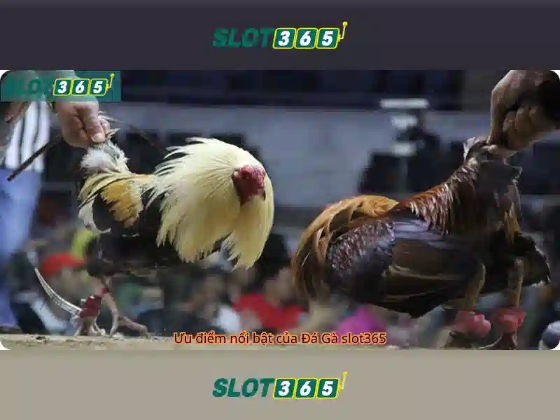 Slot365 — Đánh giá và hướng dẫn chơi slot trực tuyến