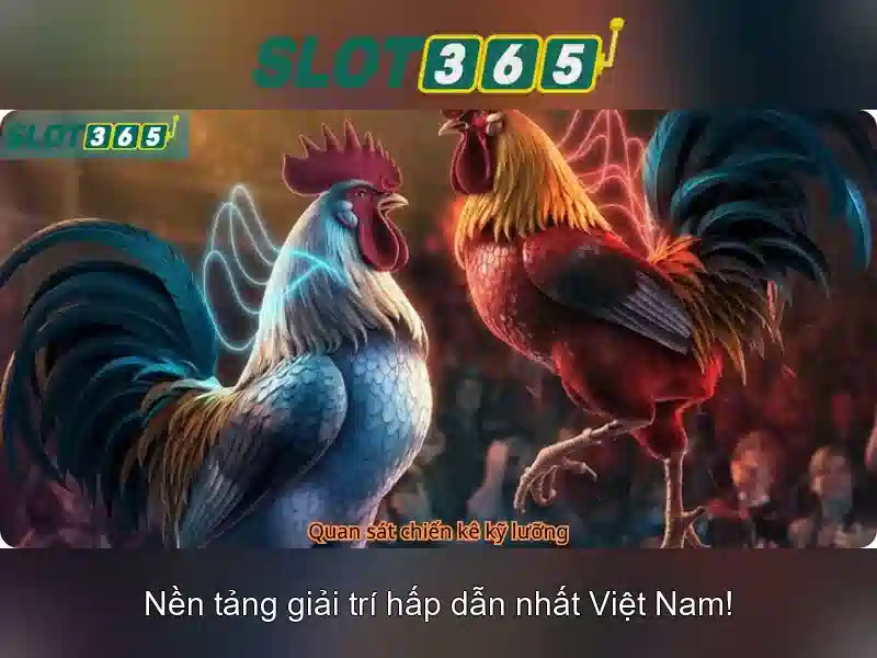 Slot365: Nền tảng trò chơi máy đánh bạc trực tuyến hàng đầu