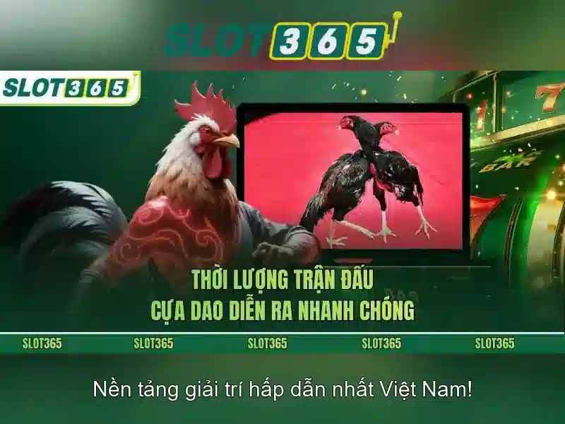 Slot365: Trải nghiệm casino trực tuyến đẳng cấp