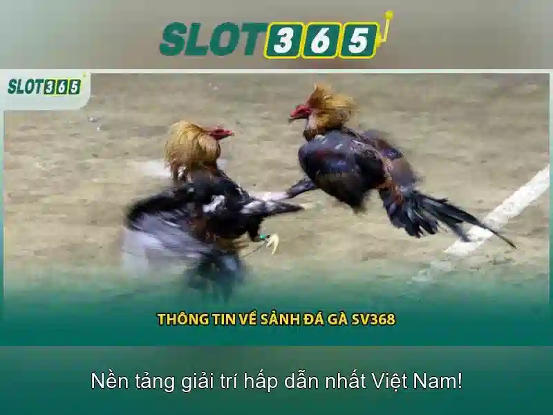 Các trò chơi nổi bật tại Slot365
