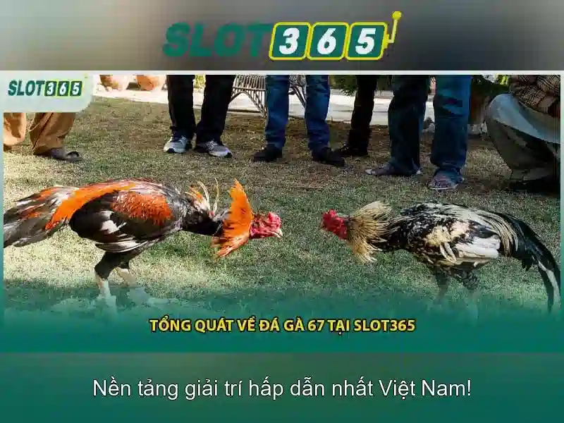 Giao diện trực quan và tốc độ tải nhanh