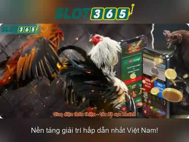 Slot365 - Nền tảng máy xèng trực tuyến hàng đầu