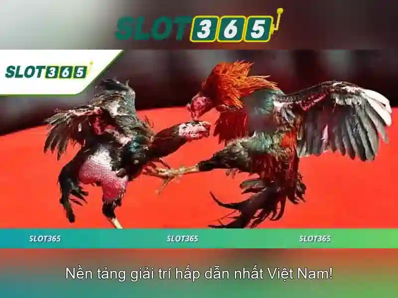 Slot365 – Trải nghiệm slot trực tuyến đỉnh cao