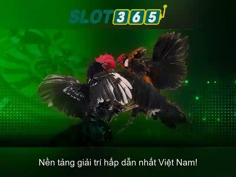 Slot365 – Nền tảng slot trực tuyến hàng đầu tại Việt Nam