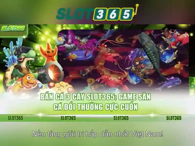 Thanh toán và chương trình khuyến mãi