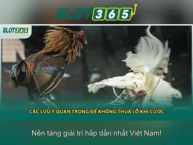 Slot365 - Trò chơi slot trực tuyến hàng đầu