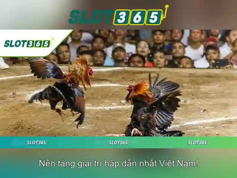 An toàn và thanh toán