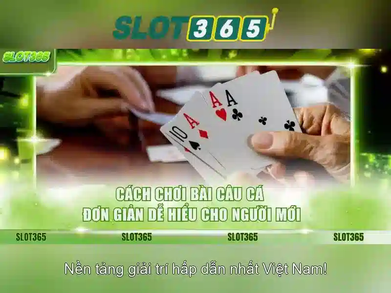 Slot365: Kinh nghiệm và đánh giá cho người chơi Việt
