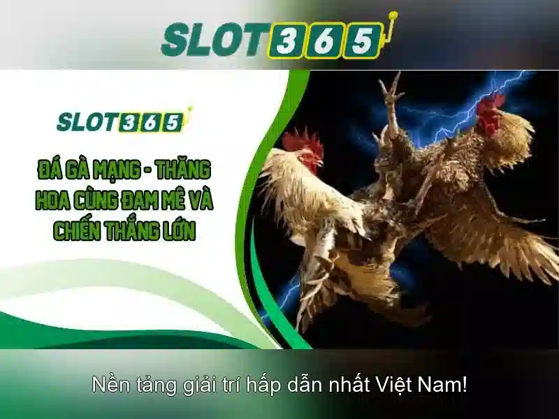 Khuyến mãi và chương trình thưởng
