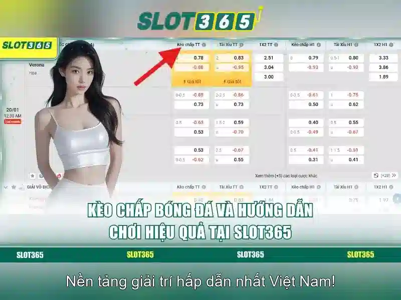 Trải nghiệm người dùng