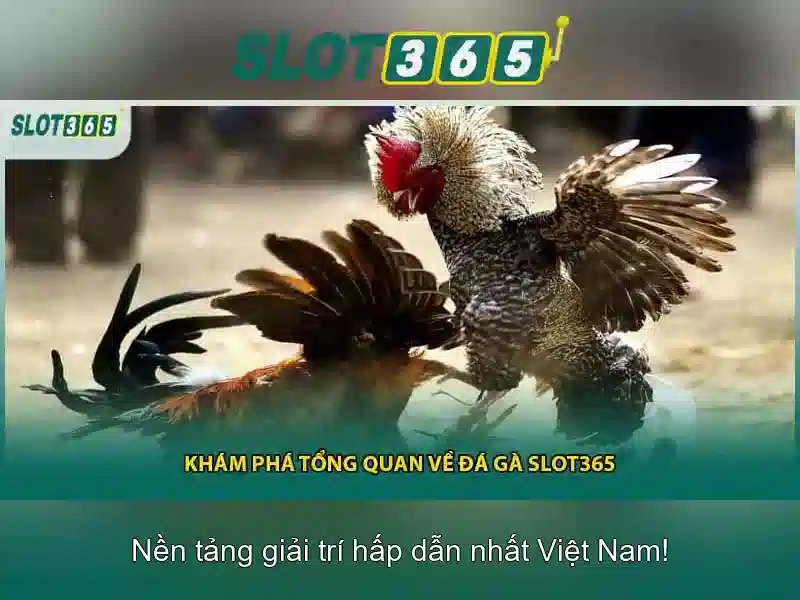 gioi-thieu-slot365-banner