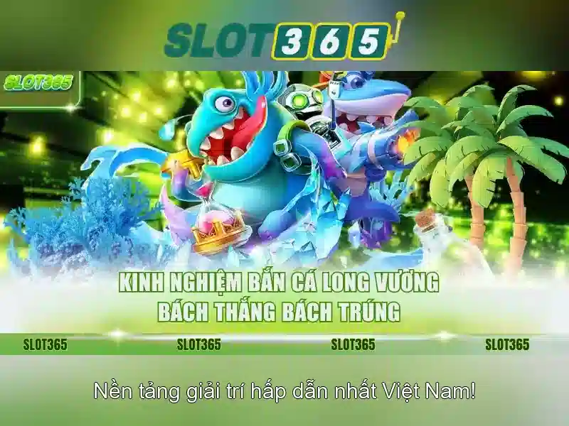 Trải nghiệm người dùng và an toàn