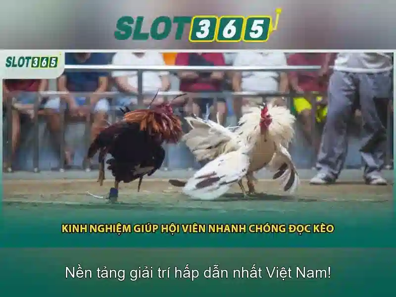 Giới thiệu về slot365