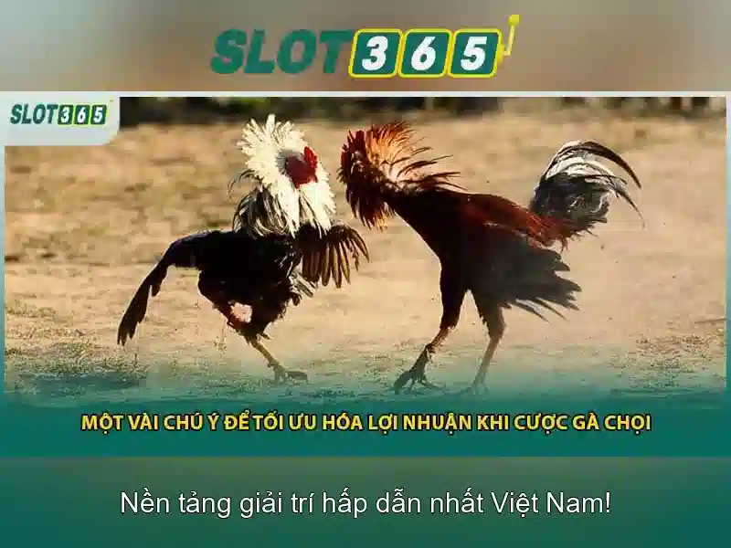 Slot365: trải nghiệm chơi game slot trực tuyến tuyệt vời