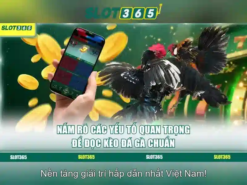 Trải nghiệm người chơi