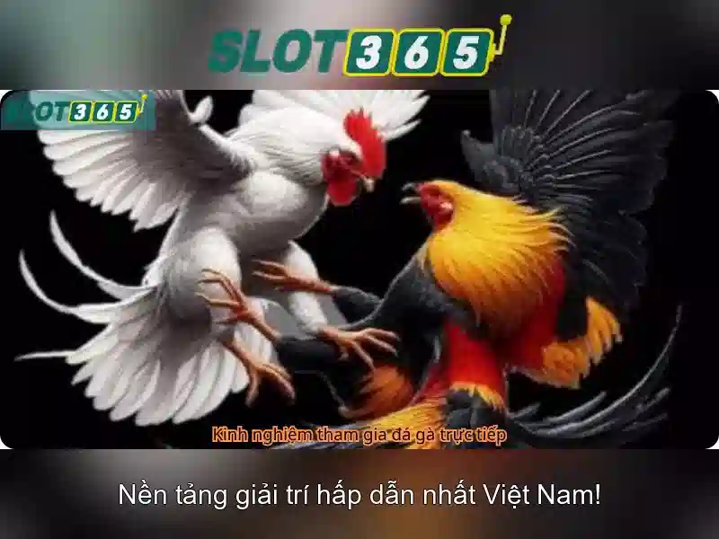 Slot365 - Trải nghiệm chơi slot an toàn và hấp dẫn