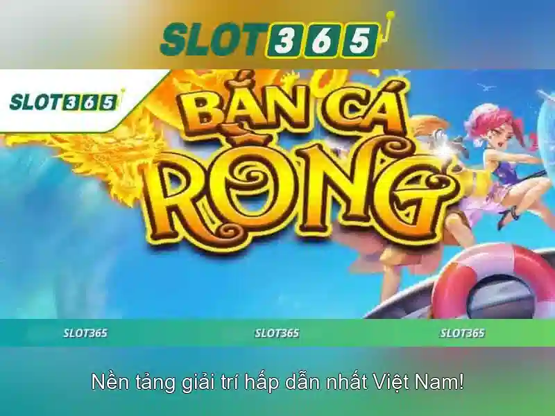 Kết luận và hướng dẫn đăng ký